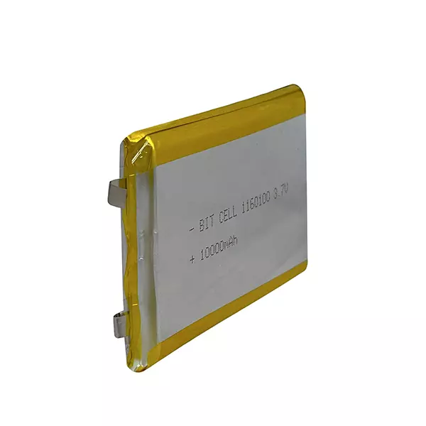باتری لیتیوم پلیمری ۳٫۷ ولت مدل 1160100 10000mAh